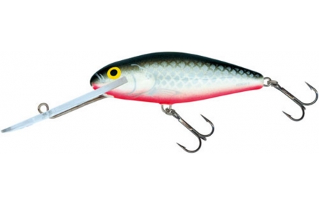 Salmo Perch SDR Set 12cm